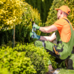 Landscaping Companies in Toronto
