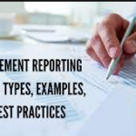 Internal Reporting Systems for Companies